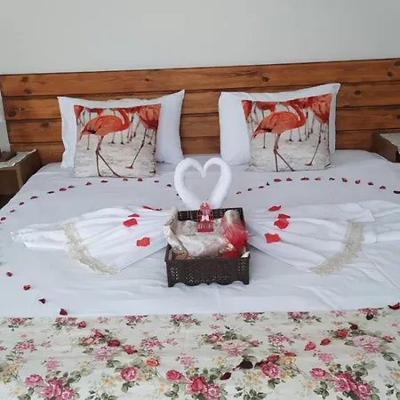 Ξενοδοχείο Butik 3*