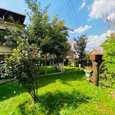 Butik Hotel