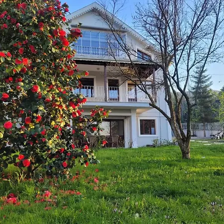 Butik 3* Masukiye