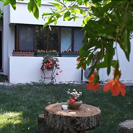 Butik Masukiye