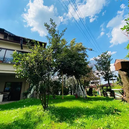 Butik 3* Masukiye